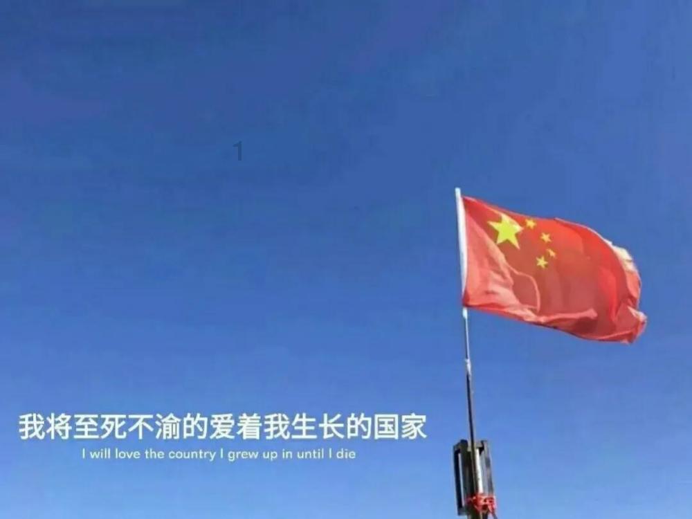 可爱猫咪救援
